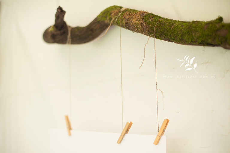 diy-forest-theme-photo-display