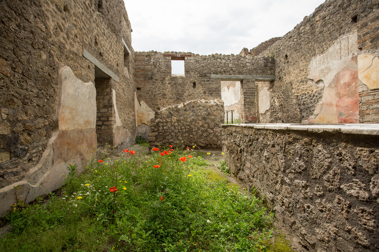 pompeii overgrown ruins