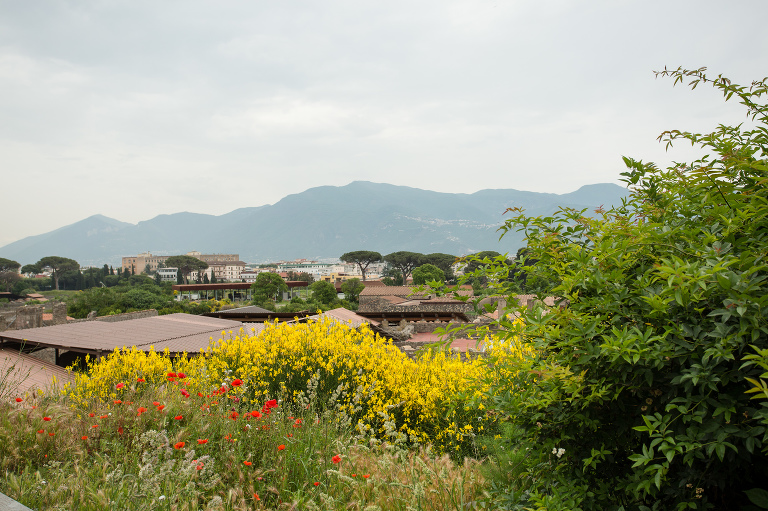 view over Pompeii in spring